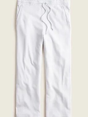 J.Crew Magic Rinse™ Wide Leg Pant in Pale Sky | XL | GUC